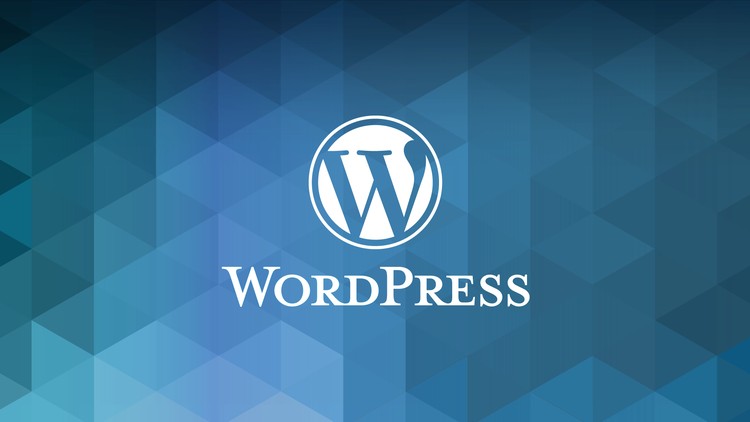 Plugin wordpress là gì? Hướng dẫn cho người mới bắt đầu 11 520116 edf5 2 2